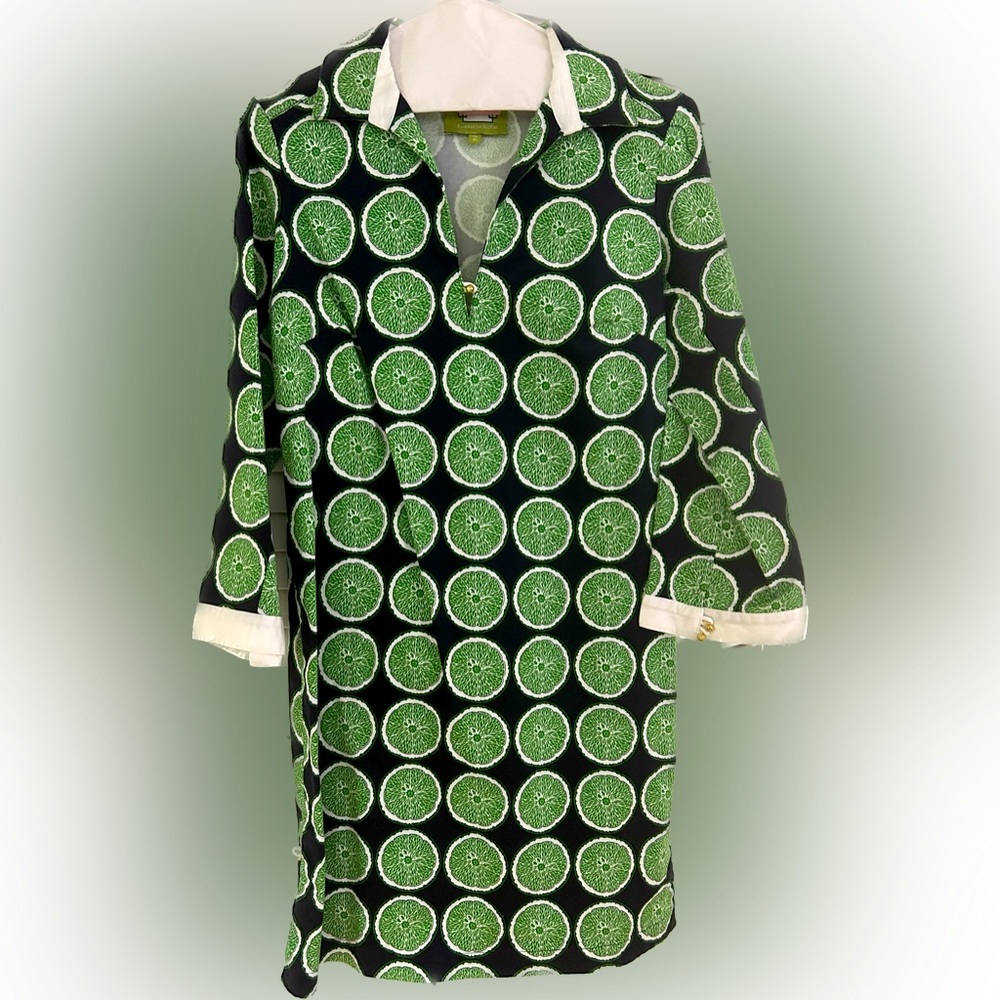Preppy limes! Elizabeth McKay dress sz 2 adorable fun perfect condition